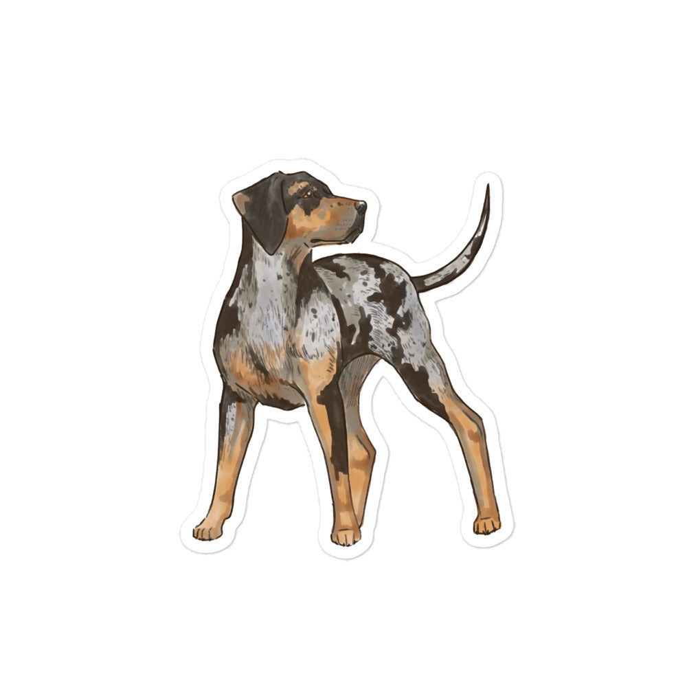 Catahoula Dog Sticker