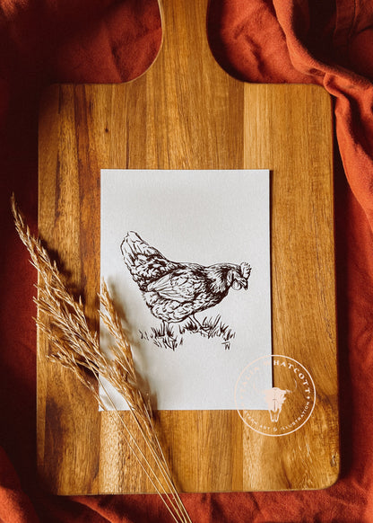 Custom Original Pet Portrait {ink drawing}