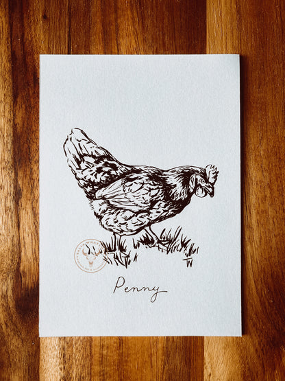 Custom Original Pet Portrait {ink drawing}