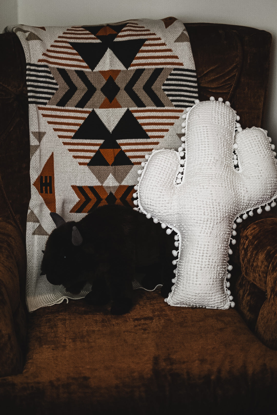 The "Phoenix" Cactus Pillow