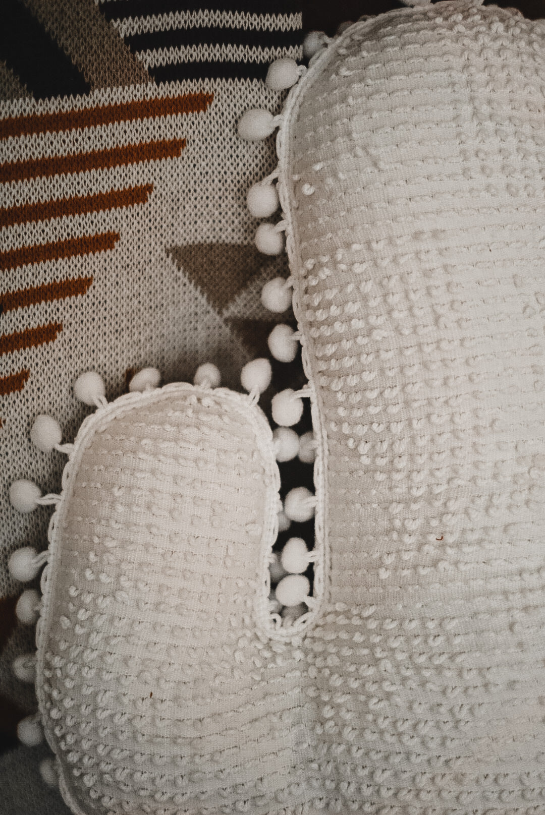 The "Phoenix" Cactus Pillow
