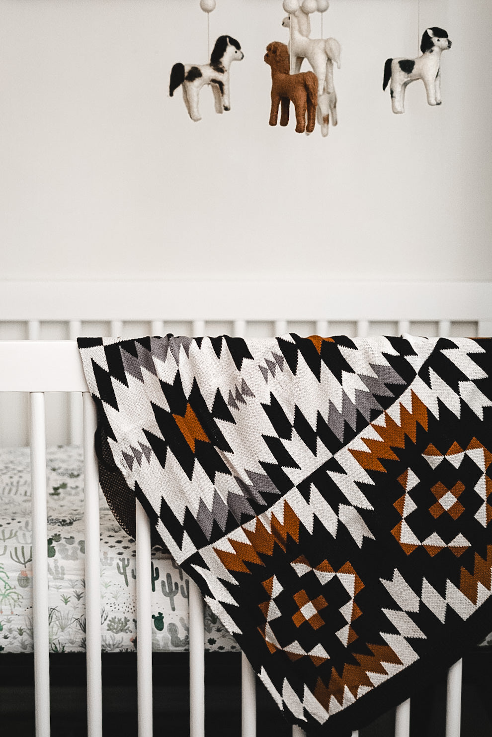Pampa Baby Blanket