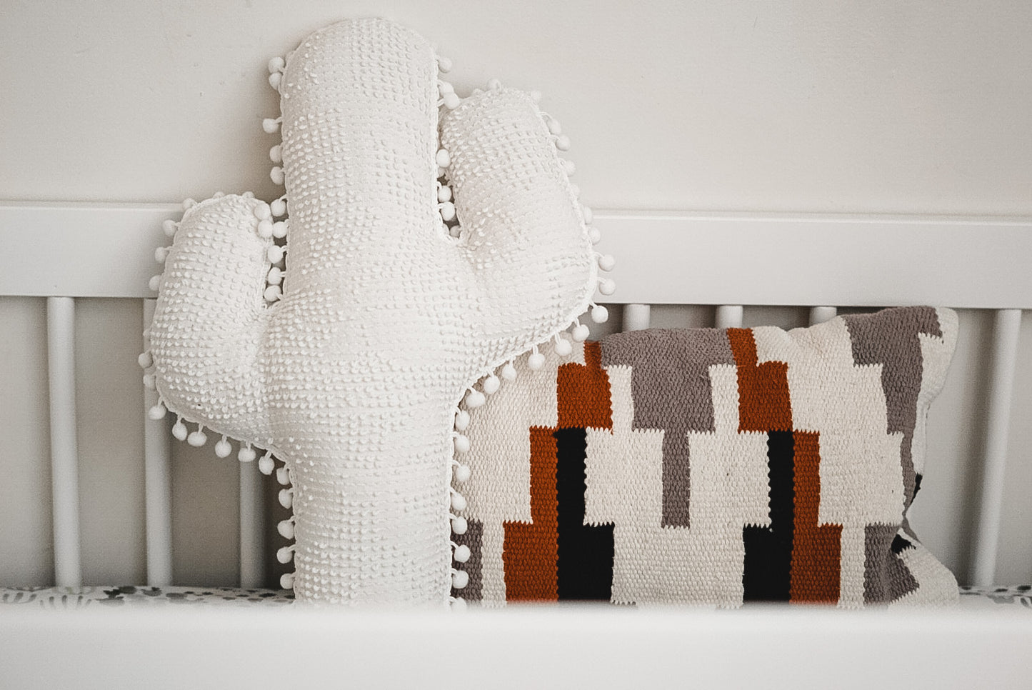 The "Phoenix" Cactus Pillow
