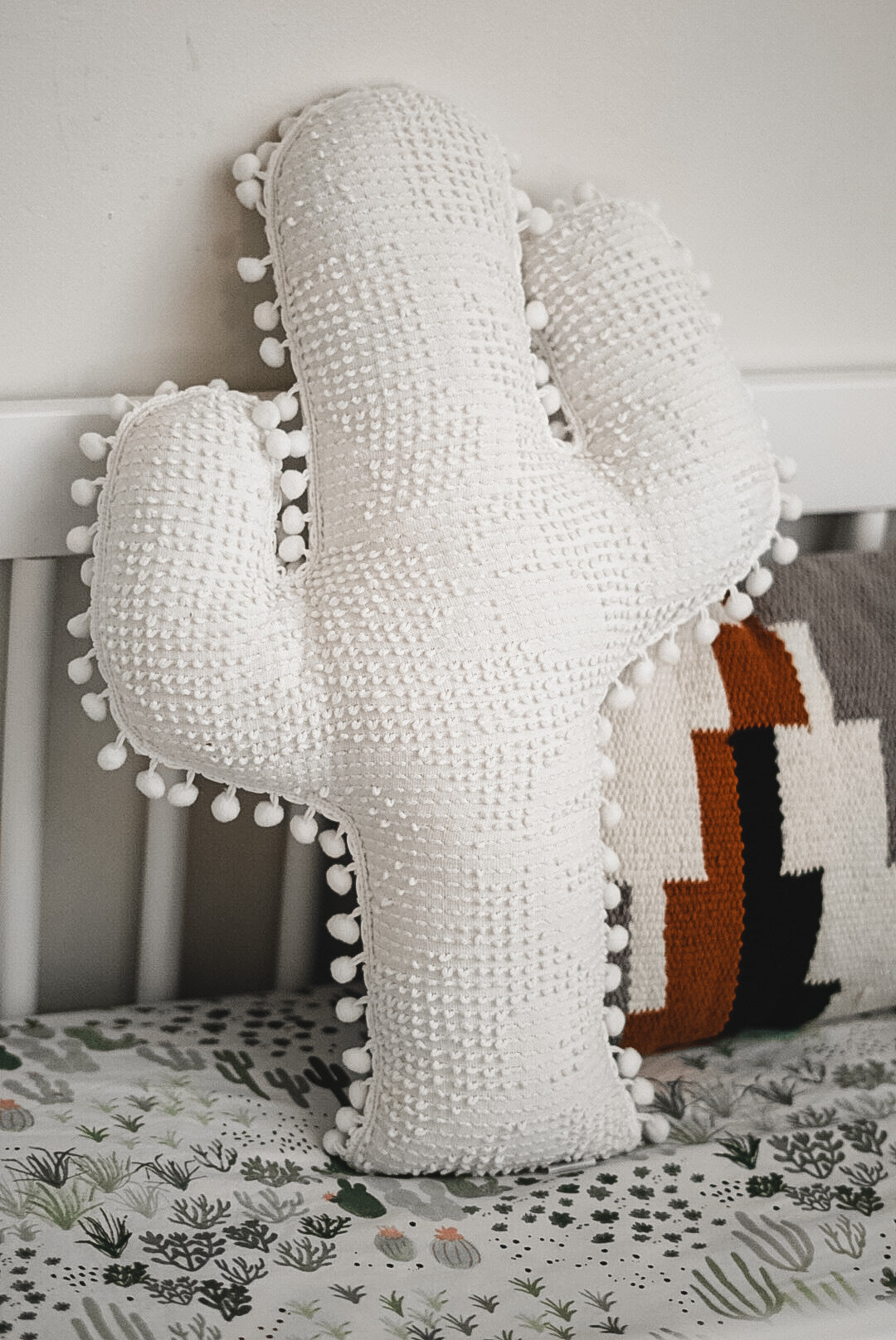 The "Phoenix" Cactus Pillow