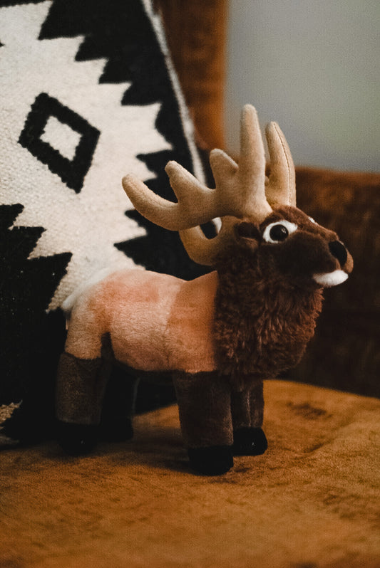 Rocky the Bull Elk