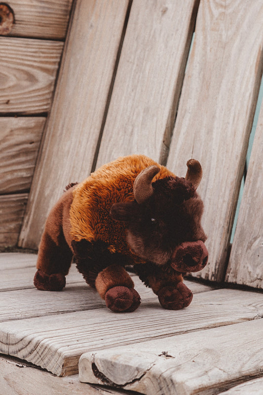Bighorn the Bison