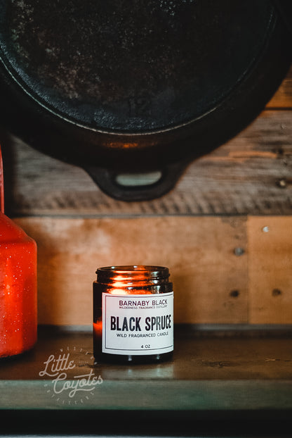 Black Spruce Wild Fragranced Candle