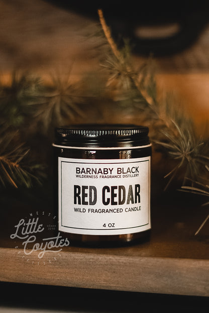Red Cedar Wild Fragranced Candle