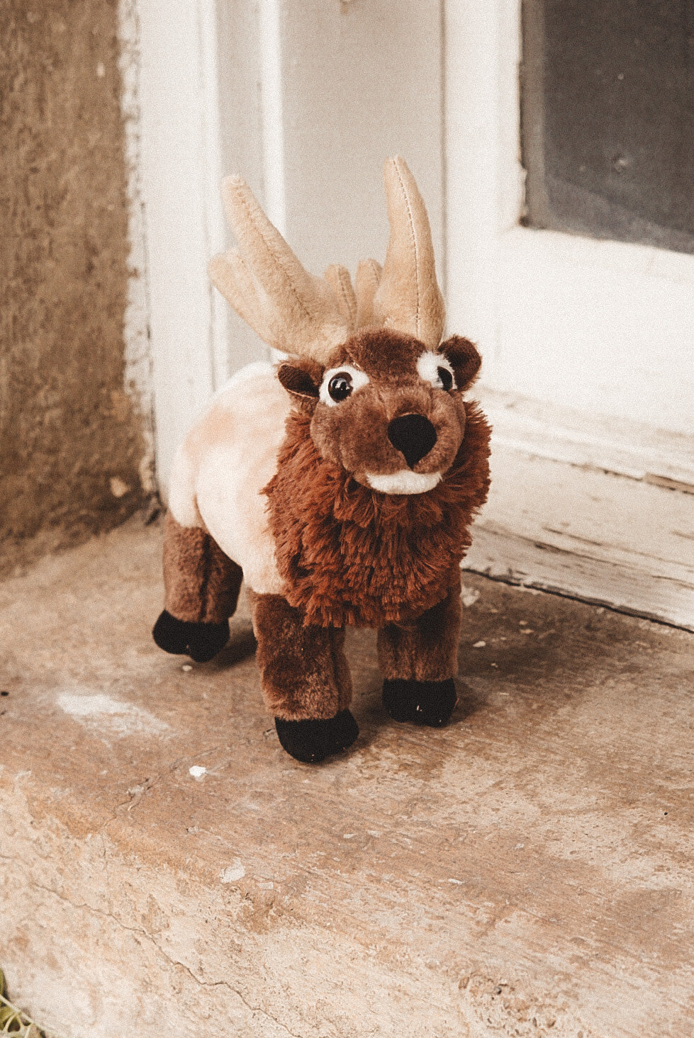 Rocky the Bull Elk