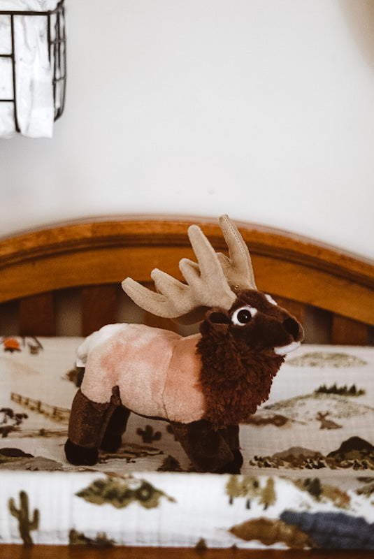 Rocky the Bull Elk