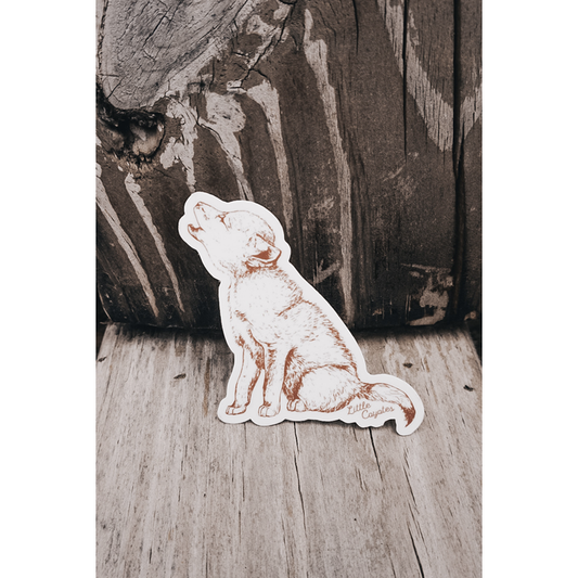 Coyote Pup Sticker