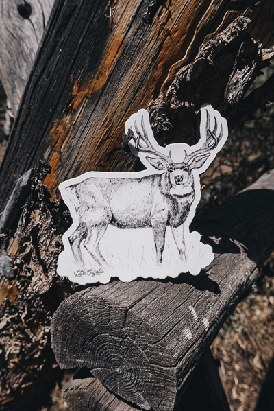 Mule Deer Sticker